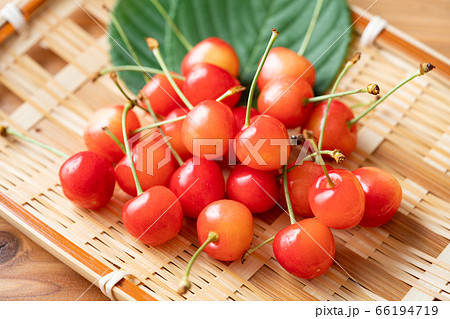 籠に盛られたさくらんぼ　佐藤錦 66194719