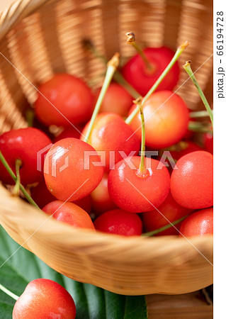 籠に盛られたさくらんぼ　佐藤錦 66194728