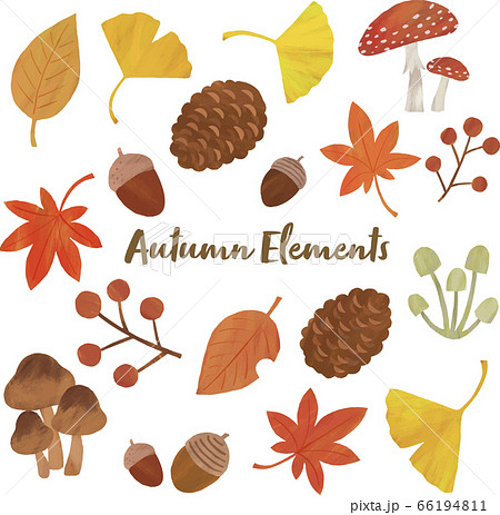 秋 もみじ きのこ イチョウ ドングリ 松ぼっくり 葉っぱ イラスト セットのイラスト素材