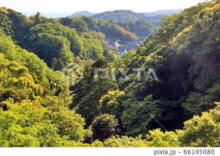 鎌倉建長寺半蔵坊からの眺め 66195080