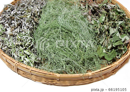 野草茶 野草茶 66195105