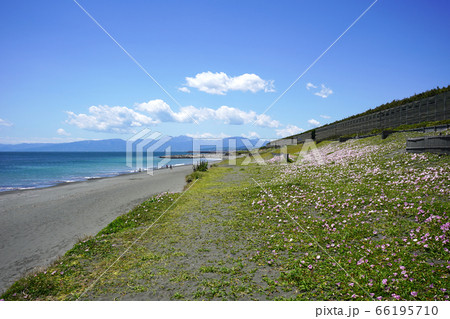 湘南の海 湘南の海 66195710