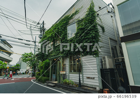 東京の都市風景 渋谷 キャットストリート周辺の風景 東京の都市風景 渋谷 キャットストリート周辺の風景 66196539