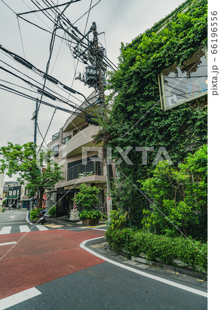 東京の都市風景 渋谷 キャットストリート周辺の風景 東京の都市風景 渋谷 キャットストリート周辺の風景 66196556