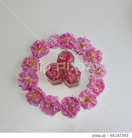 ローズコーディアル 66197363