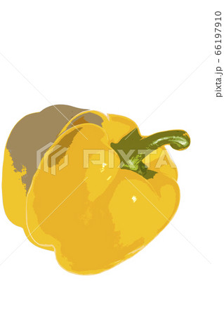 パプリカ　黄色 66197910