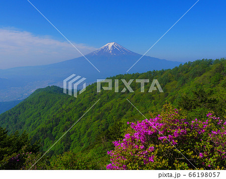 0605開運山三つ峠からのミツバツツジと初夏の富士山の写真素材