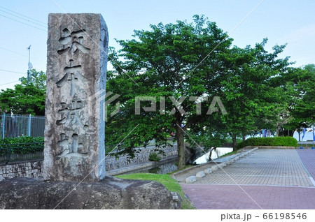 滋賀県大津市　坂本城址公園の石碑と新緑 66198546