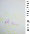 草原の犬 66198618