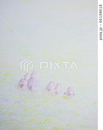 草原の犬 66198618