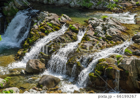 涼し気な渓流(岐阜県 平滝) 涼し気な渓流(岐阜県 平滝) 66199267