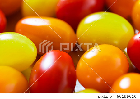 ミニトマト クレア 66199610