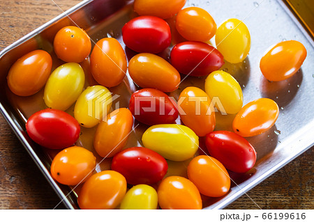 ミニトマト クレア 66199616