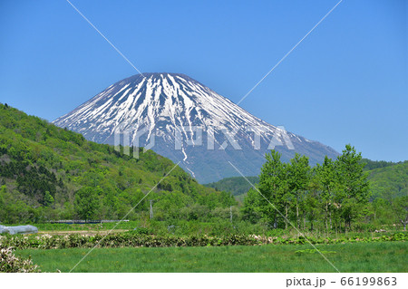 初夏の北海道喜茂別町で里山と残雪の羊蹄山の風景を撮影 66199863