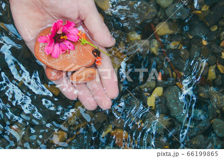 Conceptual photo showing a hand holding flowers over clear water to show harmony between human and nature, healing and mental health 66199865