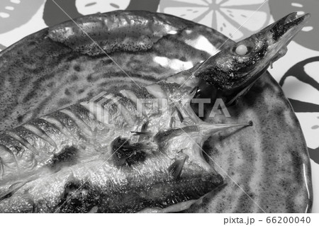 家庭的で素朴な自宅調理の「カマスの塩焼き」 家庭的で素朴な自宅調理の「カマスの塩焼き」 66200040