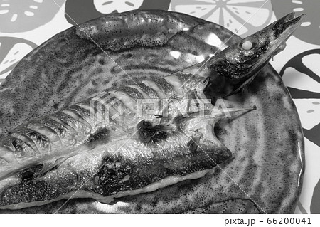 家庭的で素朴な自宅調理の「カマスの塩焼き」 66200041