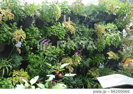 SELANGOR, MALAYSIA -AUGUST 05, 2016: Construction workers working at the steel reinforcement bar bending yard in the construction site. 66200060