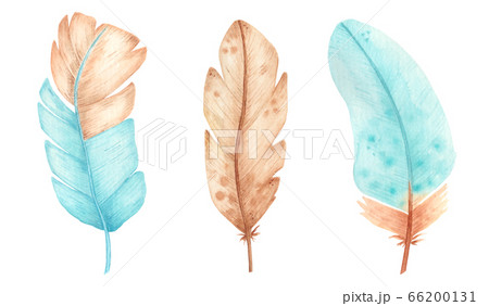 Hand drawn watercolor feathers. Set of colorful feathers sketch. Hand drawn watercolor feathers. Set of colorful feathers sketch. 66200131