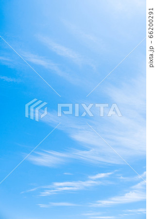 青空 66200291
