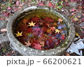手水と紅葉 66200621