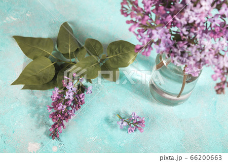bouquet of lilac blossoms in a glass bottle on a bouquet of lilac blossoms in a glass bottle on a 66200663