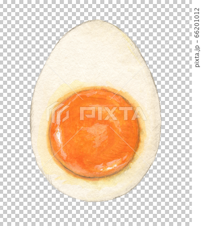 Cross-section of a half-boiled boiled egg, hand-painted watercolor 66201012