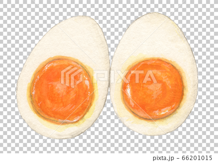 半熟ゆで卵の断面 手描き 水彩のイラスト素材
