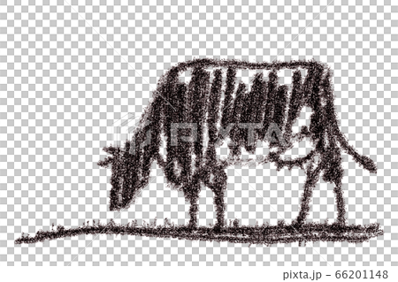 年賀状 丑 牛 デッサン のイラスト素材