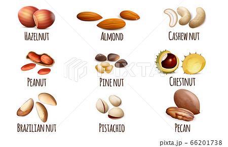 Nut icons set, realistic style 66201738