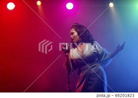 A jazz singer performs on stage. Afro. 66201823