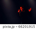 A jazz singer performs on stage. Afro. 66201915