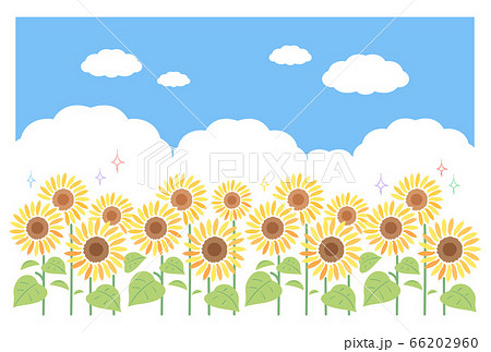 青空に咲くひまわりのイラスト 向日葵 7月 8月の花 のイラスト素材