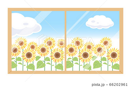 窓の外に咲くひまわりのイラスト 向日葵 7月 8月の花 のイラスト素材