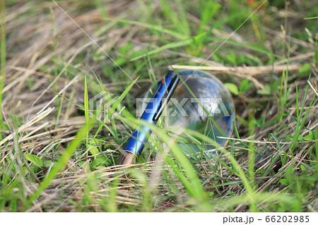 IRページ等 イメージ写真(水晶とペン) IRページ等 イメージ写真(水晶とペン) 66202985