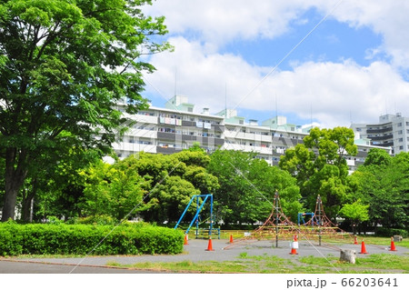 横浜市戸塚区 俣野公園遊戯広場の新緑と高層住宅 横浜市戸塚区 俣野公園遊戯広場の新緑と高層住宅 66203641