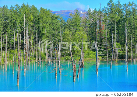 北海道 夏の晴天下の十勝連峰と青い池の写真素材