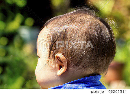 赤ちゃんの後頭部 または赤ちゃんの横顔の写真素材