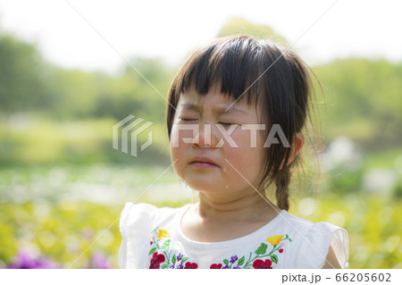 泣く女の子　涙を流す女の子 66205602