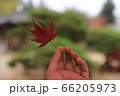 自然 外 秋 66205973