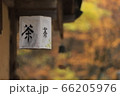秋 歴史 景色 66205976