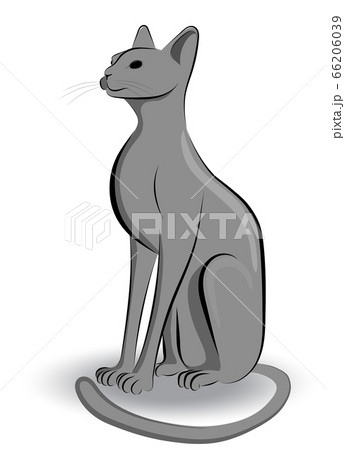 Image of a gray cat sitting on its hind legs 66206039