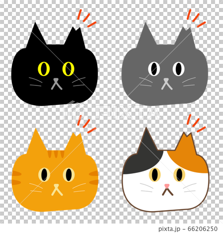 TNR cat face illustration 66206250
