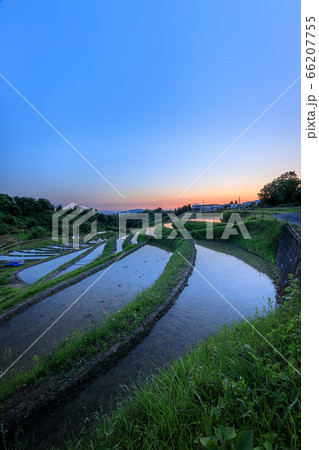 下赤阪の棚田 トワイライト 66207755