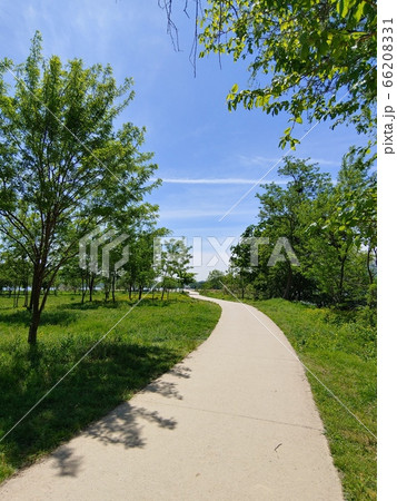 風景 自然 自然の風景 66208331