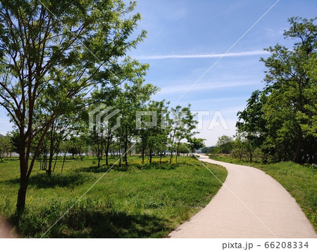 風景 自然 自然の風景 66208334