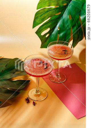 Pink Raspberry Cocktail in drink glass Pink Raspberry Cocktail in drink glass 66208679