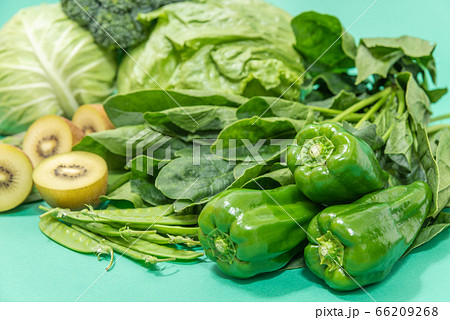 緑黄色野菜　緑の野菜の集合 66209268