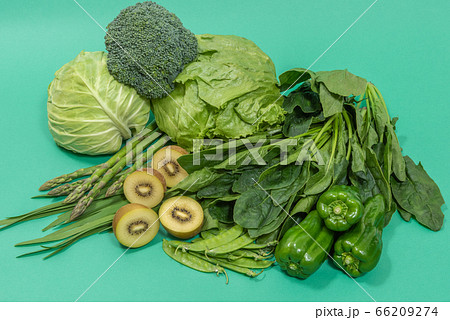 緑黄色野菜 緑の野菜の集合 緑黄色野菜 緑の野菜の集合 66209274