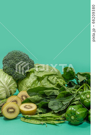 緑黄色野菜 緑の野菜の集合 緑黄色野菜 緑の野菜の集合 66209380